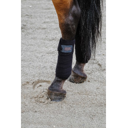 Bandagens de polo Equithème em conjunto de 4 Preto