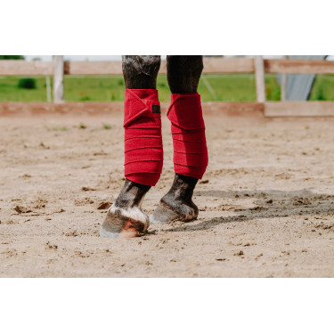 Bandagens de polo Equithème em conjunto de 4 Vermelho