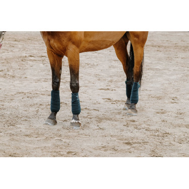 Bandagens de polo Equithème em conjunto de 4 Verde escuro