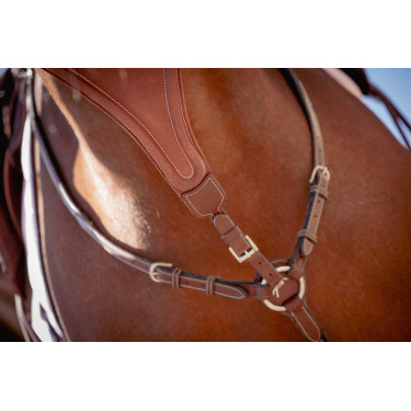 Sete de martingala Pénélope Bip Liso Elástico Avelã Castanho