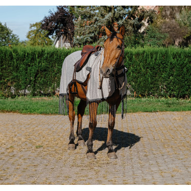 Camisa de trabalho Riding World anti-moscas Cinzento Camisa de trabalho Riding World anti-moscas Cinzento