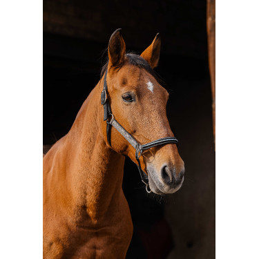 Cabresto de nylon Equithème Domino Cobre Castanho Cabresto de nylon Equithème Domino Cobre Castanho