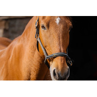 Cabresto de nylon Equithème Domino Cobre Castanho
