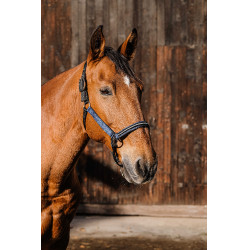 Cabresto de nylon Equithème Domino Azul royal