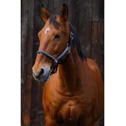 Cabresto de nylon Equithème Domino Cinzento Cabresto de nylon Equithème Domino Cinzento