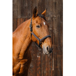 Cabresto de nylon Equithème Domino Violeta Cabresto de nylon Equithème Domino Violeta