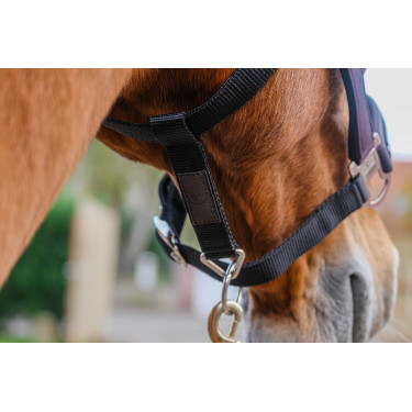Cabresto de nylon Equithème Domino Violeta Cabresto de nylon Equithème Domino Violeta