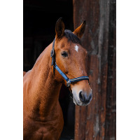 Cabresto de nylon Equithème Domino Azul