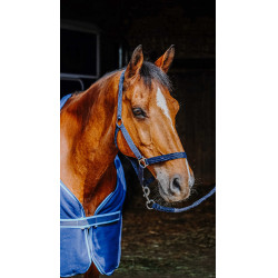 Conjunto completo Riding World Azul-marinho