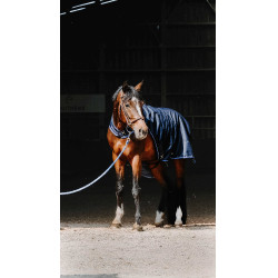 Camisa de passeio Equithème Classic 1200D Azul-marinho Camisa de passeio Equithème Classic 1200D Azul-marinho