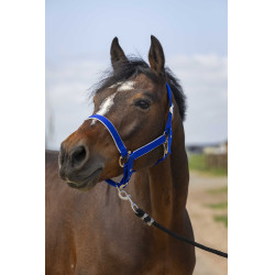 Caveção Equithème Nylon light Azul royal