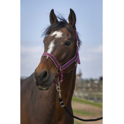 Caveção Equithème Nylon light Bordéus Bord&amp;amp;amp;ocirc;