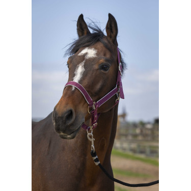 Caveção Equithème Nylon light Bordéus Bord&amp;amp;amp;ocirc;