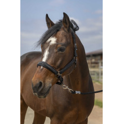 Caveção Equithème Nylon Strass Preto