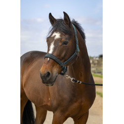 Caveção Equithème Nylon Strass Verde Caveção Equithème Nylon Strass Verde