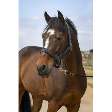 Caveção Equithème Nylon Strass Verde Caveção Equithème Nylon Strass Verde