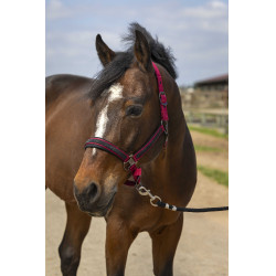 Caveção Equithème Nylon Strass Bordéus Bordô Caveção Equithème Nylon Strass Bordéus Bordô