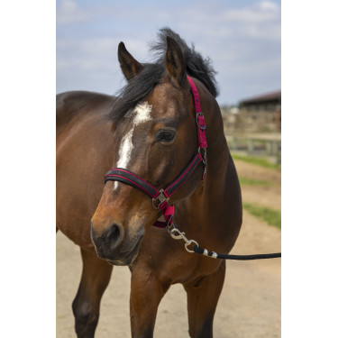 Caveção Equithème Nylon Strass Bordéus Bordô Caveção Equithème Nylon Strass Bordéus Bordô