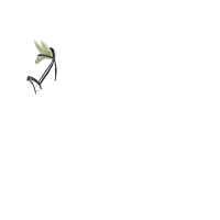 Touca anti-moscas LeMieux Esme Macaron Branco