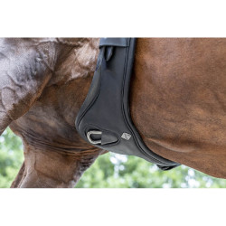 Cilindro curto LeMieux Gel-Tek Anatomic Preto