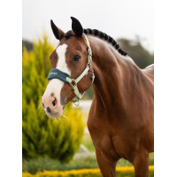 Caveção e corda LeMieux Vogue Esme Milho azul