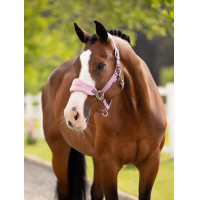 Caveção e corda LeMieux Vogue Esme Milho azul