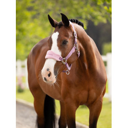 Caveção e corda LeMieux Vogue Esme Malva Violeta