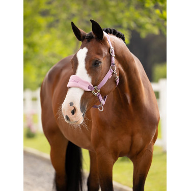 Caveção e corda LeMieux Vogue Esme Malva Violeta