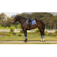 Sela de equitação LeMieux Loire Close Contact Square CSO Benetton Azul