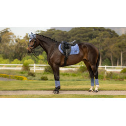 Sela de equitação LeMieux Loire Close Contact Square CSO Azul-pó Sela de equitação LeMieux Loire Close Contact Square CSO Azul-pó