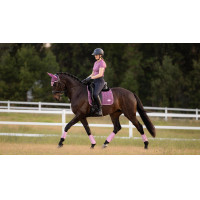 Almofada de sela LeMieux Loire Dressage Square Benetton Azul