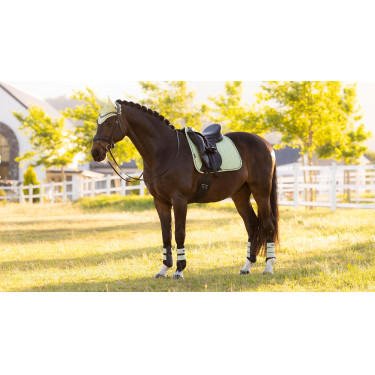 LeMieux Suede Dressage Square Reflective Macaron Verde LeMieux Suede Dressage Square Reflective Macaron Verde