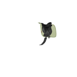 LeMieux Suede Dressage Square Reflective Macaron Verde LeMieux Suede Dressage Square Reflective Macaron Verde