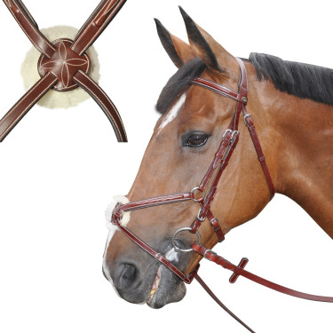 Bridon Lexington Denver Cruzado Camelo Castanho