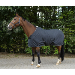 Camisa Equithème Mesclada