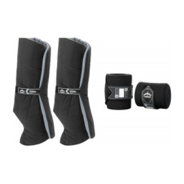 Sub-bandas e bandas de descanso Veredus anatómicas anteriores Preto / preto