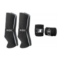 Sub-bandas e bandas de repouso Veredus Anatómicas posteriores Preto / preto