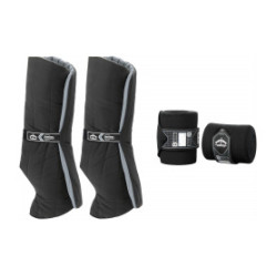 Sub-bandas e bandas de repouso Veredus Anatómicas posteriores Preto / preto