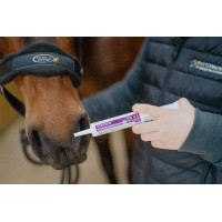 Electro Zip Horse Master Electro Zip Horse Master