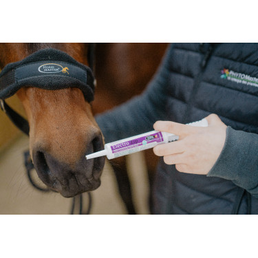 Electro Zip Horse Master