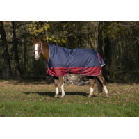 Capa Equithème Tyrex 1200 D Gola Alta Marinho / bordô Azul Capa Equithème Tyrex 1200 D Gola Alta Marinho / bordô Azul