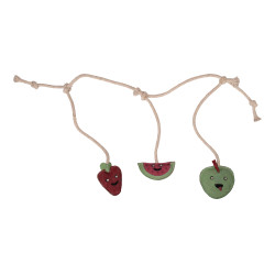 Brinquedo para cavalos HKM Fruits Cárie