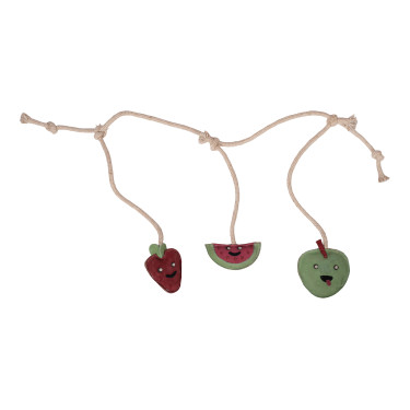 Brinquedo para cavalos HKM Fruits Cárie