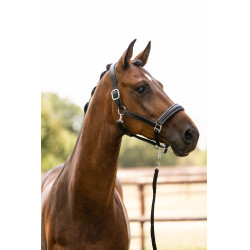 Cabresto de couro HKM Glamour Preto / prateado