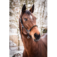 Cabeçada HKM Neon Flash Preto