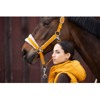 Caveção Lauria Garrelli Arezzo Mostarda Amarelo