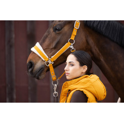 Caveção Lauria Garrelli Arezzo Mostarda Amarelo