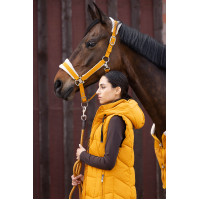 Caveção Lauria Garrelli Arezzo Mostarda Amarelo