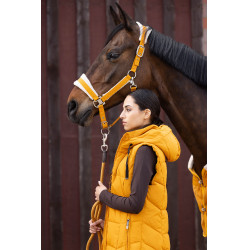 Caveção Lauria Garrelli Arezzo Mostarda Amarelo