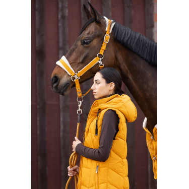 Caveção Lauria Garrelli Arezzo Mostarda Amarelo